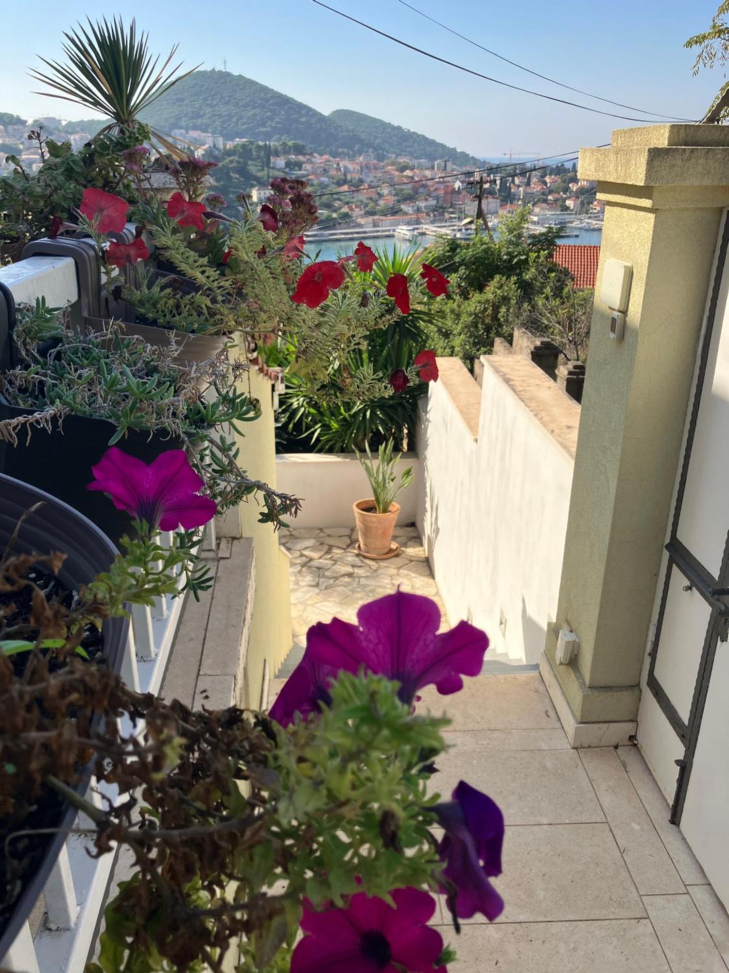 Apartments Dubrovnik Palm Tree Paradise Bagian luar foto